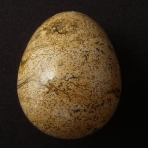 天然石,レガーロ,原石,卵